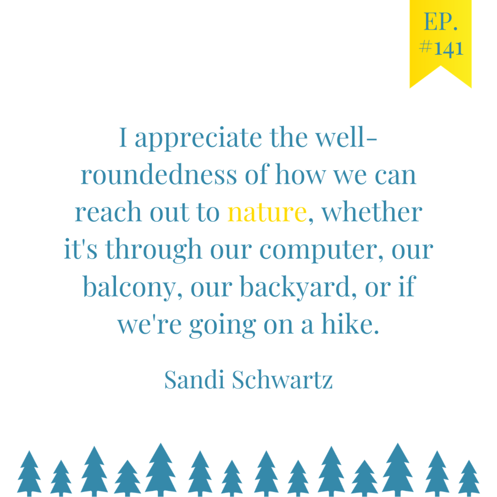 Sunshine Parenting, Ep. 141, Sandi Schwartz, Ecohappiness Challenge, Happy Science Mom